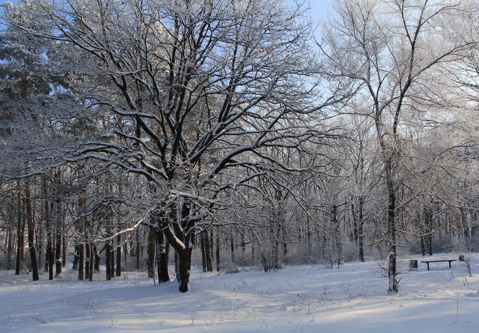 Нововоронеж парк