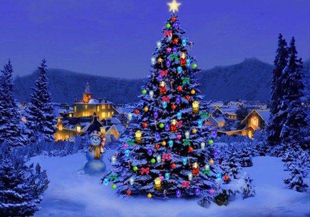 outdoor christmas tree outdoor christmas tree