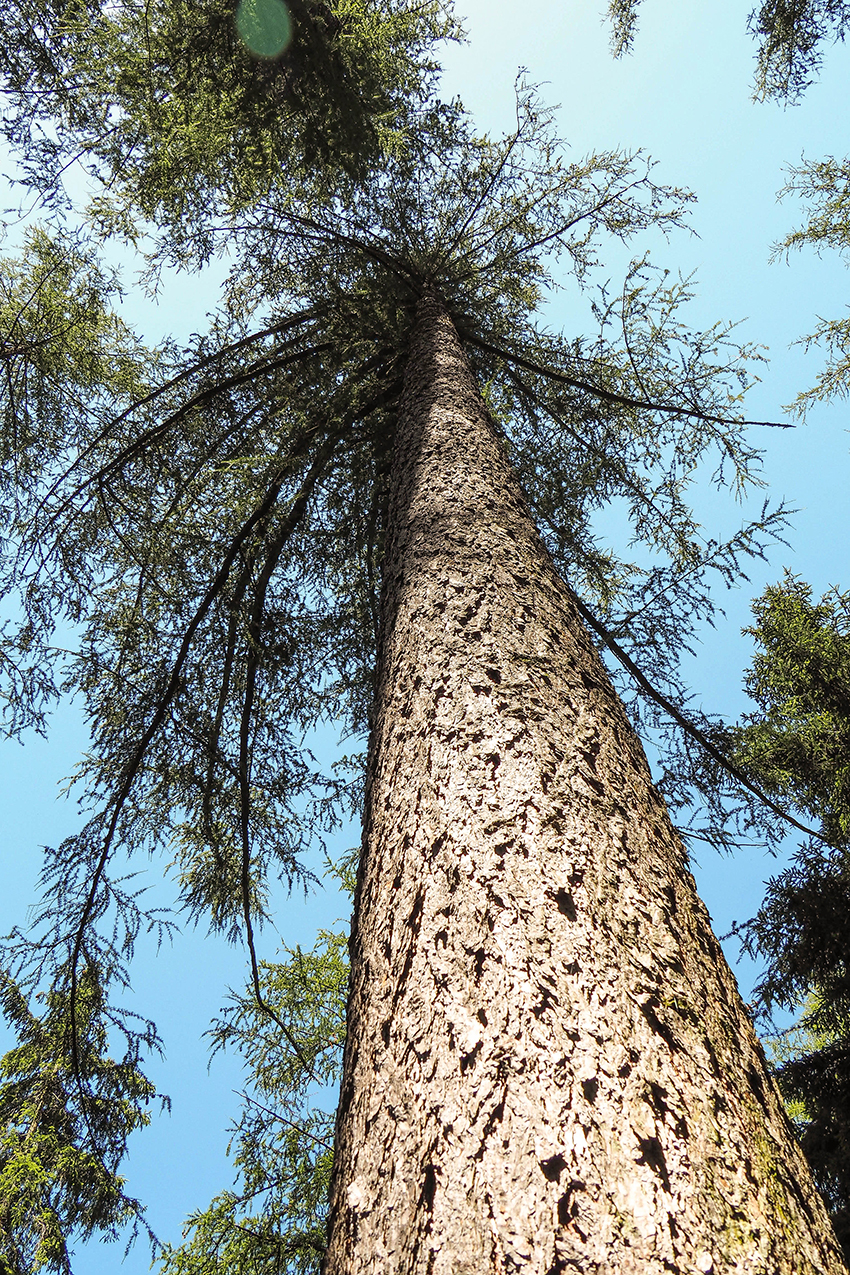 Https Www Bergwelten Com Lp Koenig Dachstein Touren Steige Und