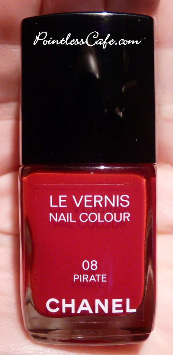 Pointless Cafe: Chanel Rouge Rubis #677 - Swatches and Review and a  Comparison