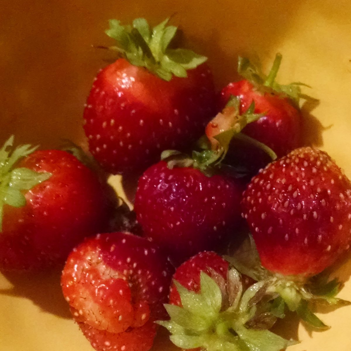 Cranberry Morning Strawberries and Good Fences