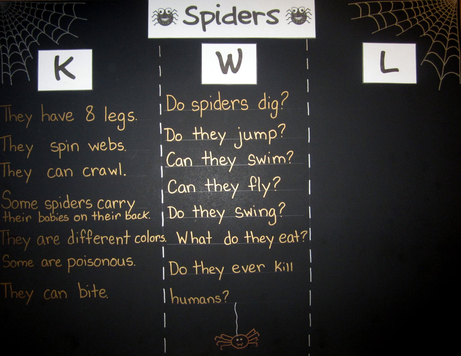 Herding Kats in Kindergarten Spiders & Handwriting!