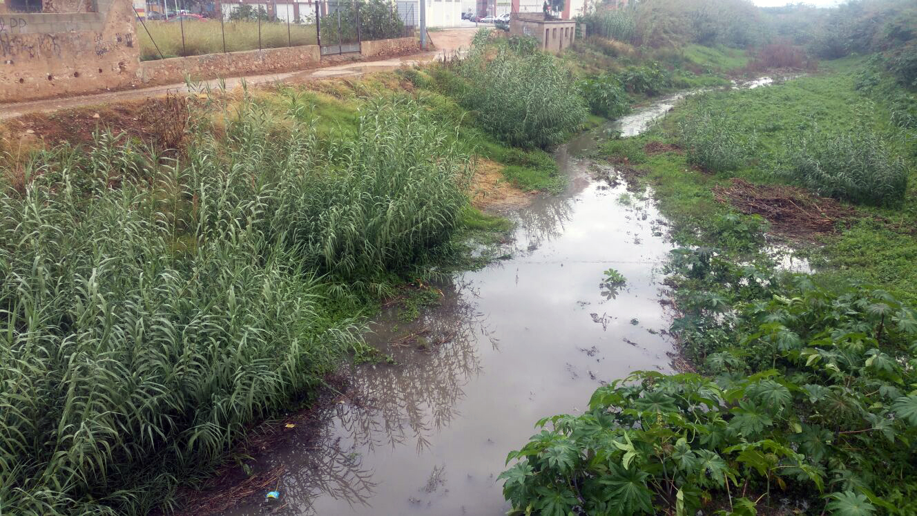 La Cotorra de la Vall Plou, poc però plou