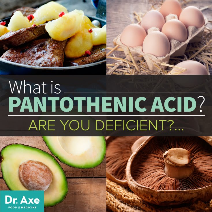 Pantothenic Acid Pantothenic Acid Weight Loss Weight Loss Terms