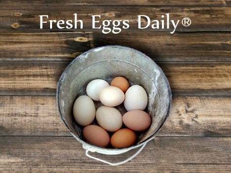 Fresh Eggs Daily Blog