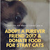 DIDI THE CAT CHARITY | LETS DONATE FOOD FOR STRAY CATS