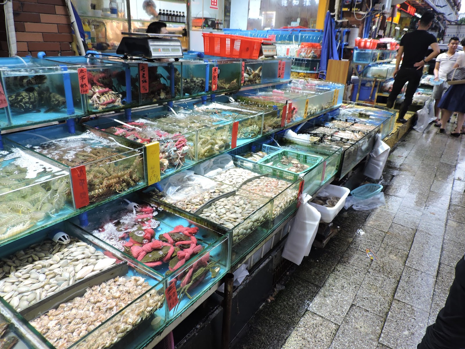 Purple Worldview Huangsha Fish Market Guangzhou; China Fresh Seafood