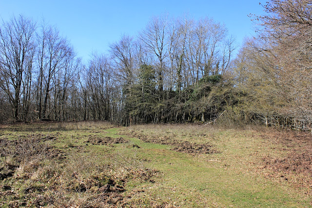 Le château de Turquestein Mes photos à travers l'Alsace