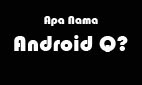 Nama Android Q, Android 10