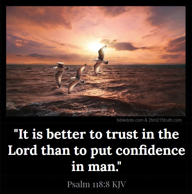 2 Timothy 215 Truth Verse of the Day Psalm 1188 KJV