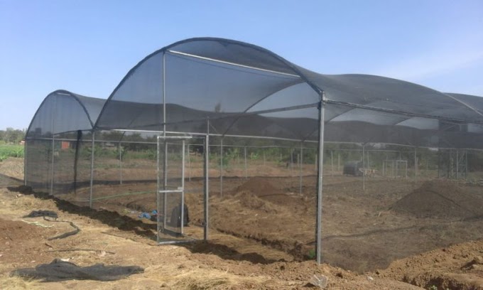 Steps on how to get our greenhouses in Kenya.