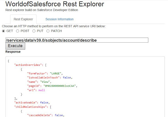Salesforce Rest Explorer