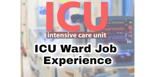 ICU Ward Experience যেভাবে লিখবেন সিভিতে।