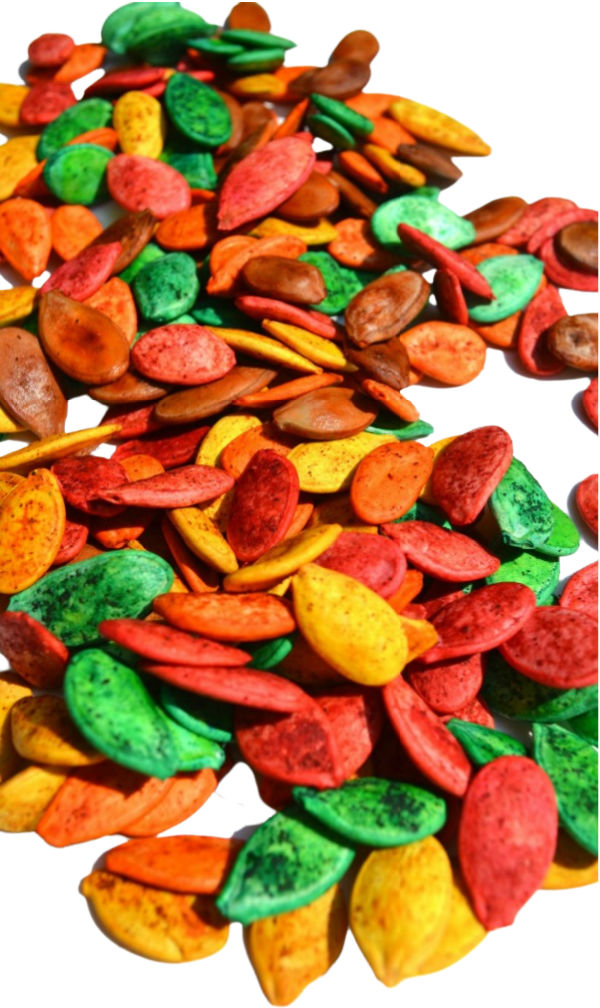 Dye pumpkin seeds  for fall crafts with this easy recipe. #pumpkinseedsrecipe #howtodyepumpkinseeds #pumpkinseedscrafts #fallcraftsforkids #growingajeweledrose