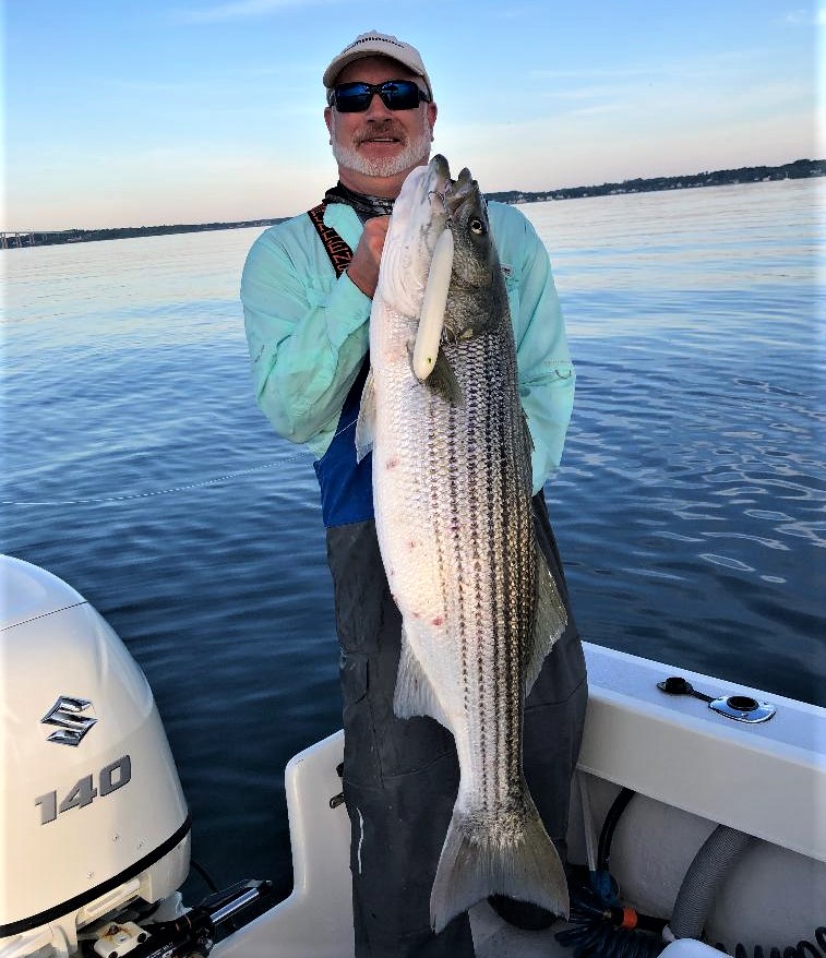 no fluke fishing: Striped bass on the move, fluke and black sea bass bite  mixed