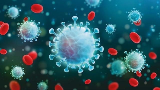 Mutasyon nedir? ne demektir? Mutasyona uğramak ne oluyor? Virüsün Mutasyona uğraması ne anlama geliyor? Mutasyon Varyant kelime anlamları Koronavirüs mutasyona uğrayınca ne olur? Mutasyon nedir? ne demektir? Mutasyona uğramak ne oluyor? Virüsün Mutasyona uğraması ne anlama geliyor? Mutasyon Varyant kelime anlamları Koronavirüs mutasyona uğrayınca ne olur?