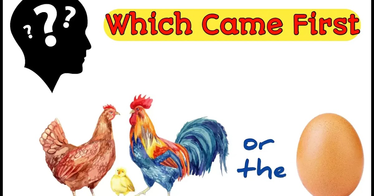 Chick 1. Which came first the Chicken or the Egg. Who came first Chicken or Egg. Which came first the Chicken or the Egg drawing. What did came first: Chicken or Egg.