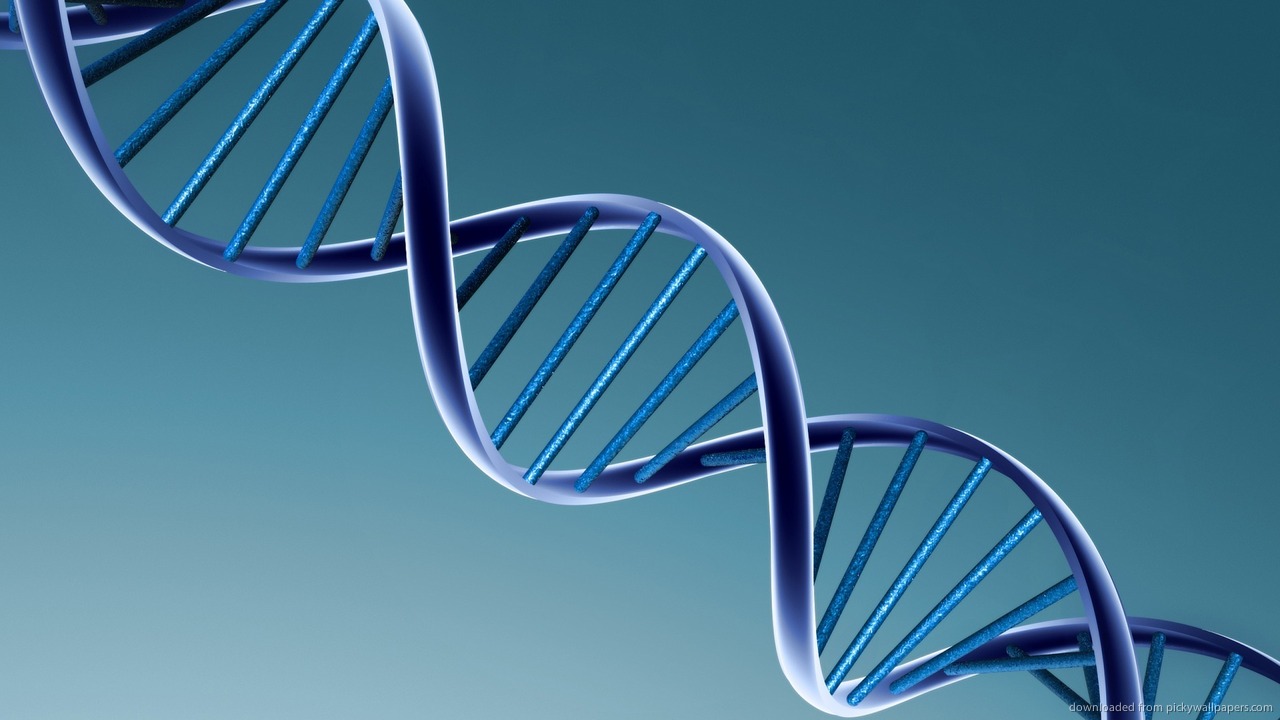 Existen Genes Que Predisponen A Enfocarnos En Puntos Negativos