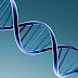 Existen Genes Que Predisponen A Enfocarnos En Puntos Negativos