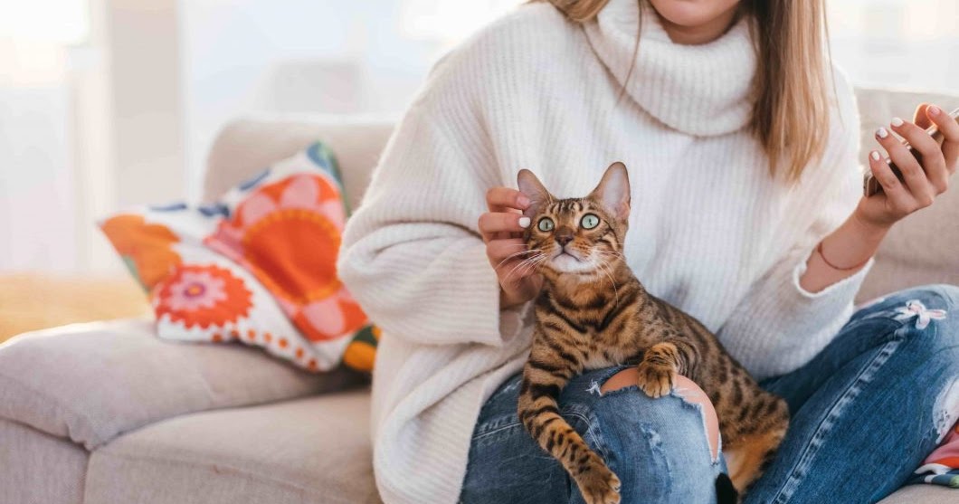 What are the Benefits of Emotional Support Cats?