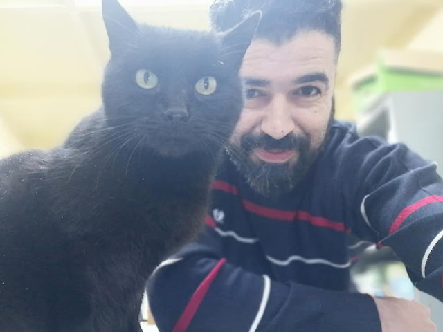 Vidéo- Miracle, un chat de la rue sauvé par un vétérinaire algérien après extraction de 200 pseudo-kystes!