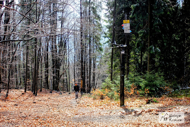 Szlak na Czupel - Beskidy - Korona Gór Polski