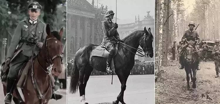 Το ιππικό της Βέρμαχτ στο Αν. Μέτωπο, 1942-45: Η άγνωστή δράση του (vid.) Το ιππικό της Βέρμαχτ στο Αν. Μέτωπο, 1942-45: Η άγνωστή δράση του (vid.)