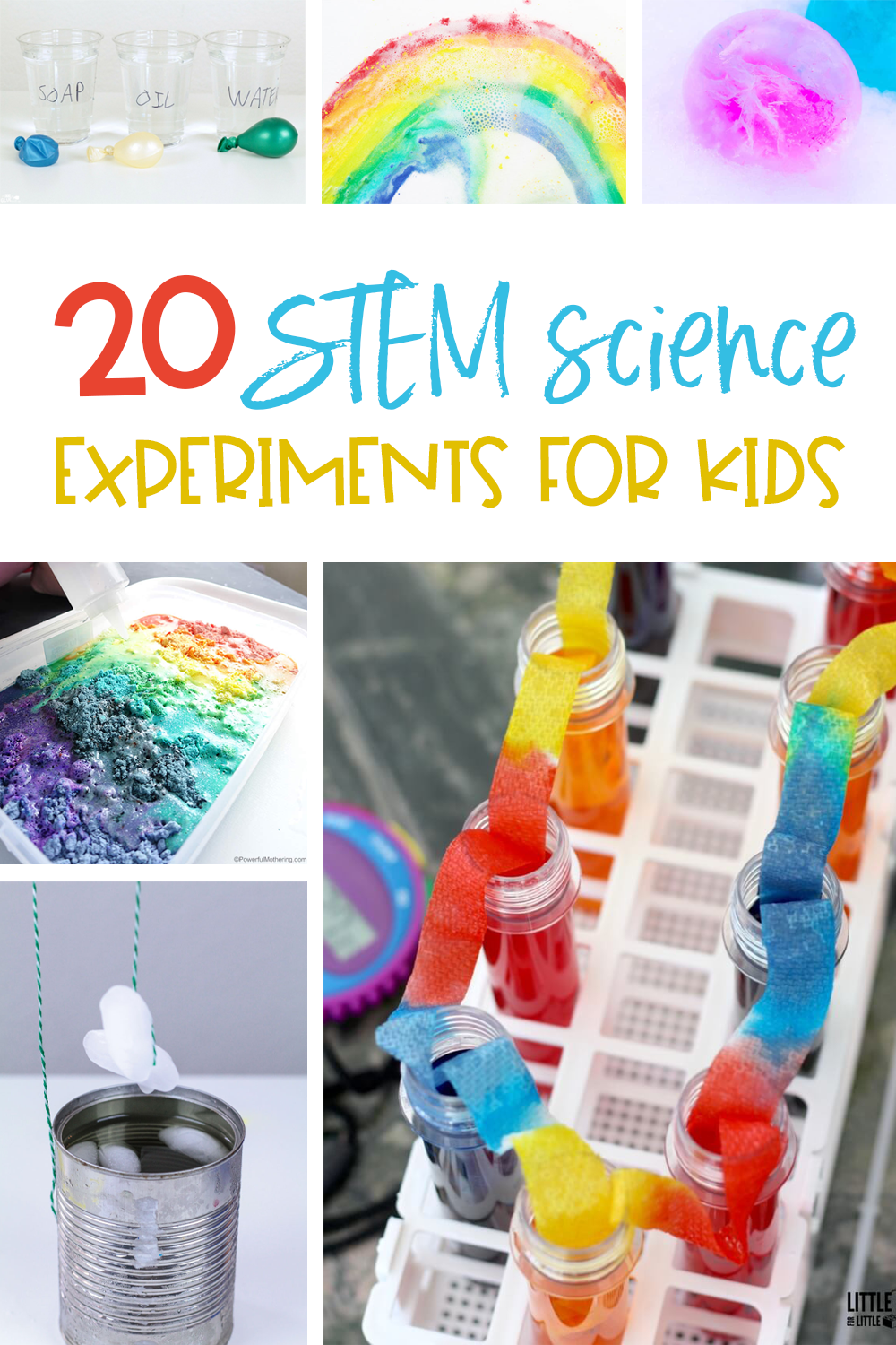 science experiments capstone project ideas for stem students
