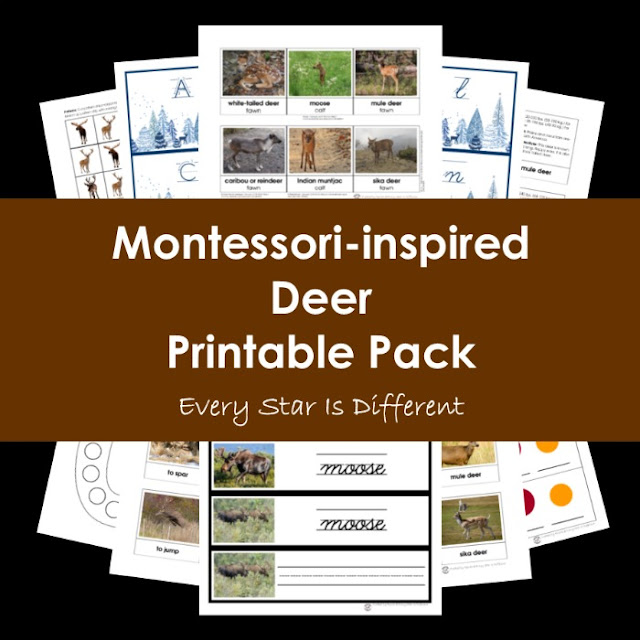 Montessori-inspired Deer Printable Pack