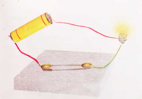 Science Lesson plan of class VII - studylight.in | A family of learning