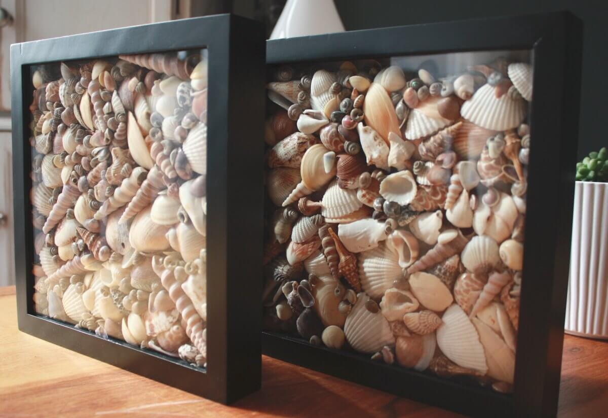 20 DIY Shell Decor Ideas To Make This Summer Do it yourself ideas and
