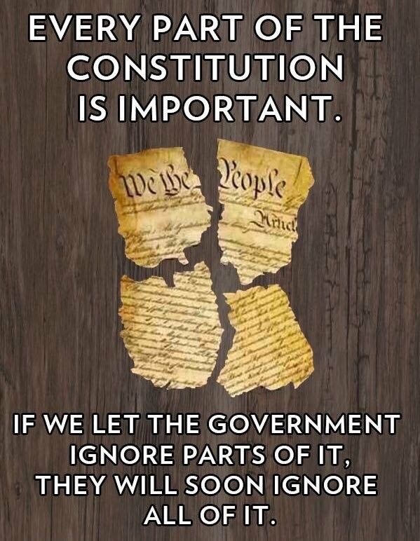 90 Miles From Tyranny Protect The Constitution Your Life Depends On