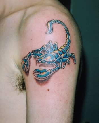 All New Tattoo In The World: Scorpion tattoo 2013