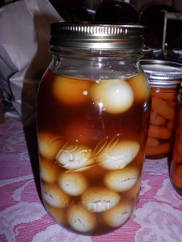 Simply Self Sufficiency: Let's Talk Quail and Pickled Quail Eggs