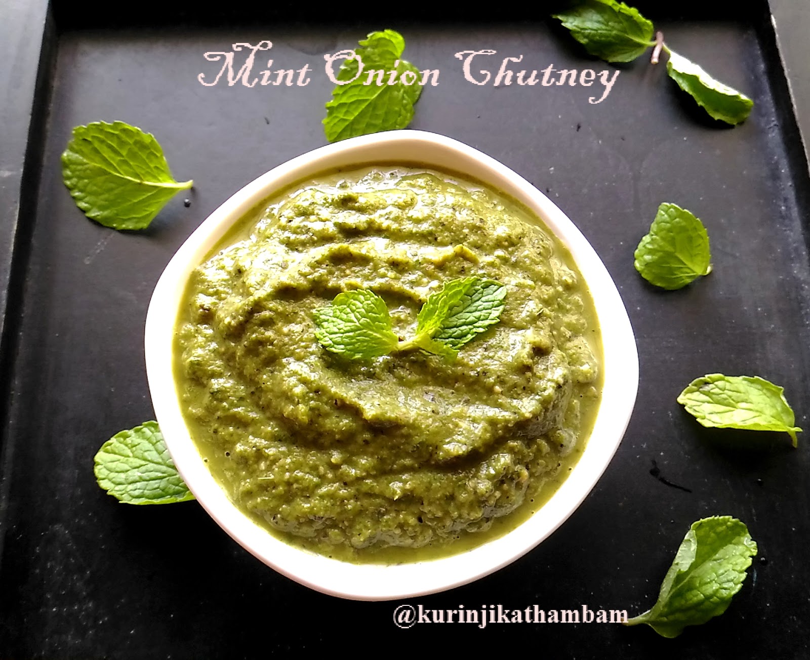 Mint Onion Chutney Kurinji Kathambam