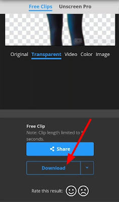 Best app to remove background from video