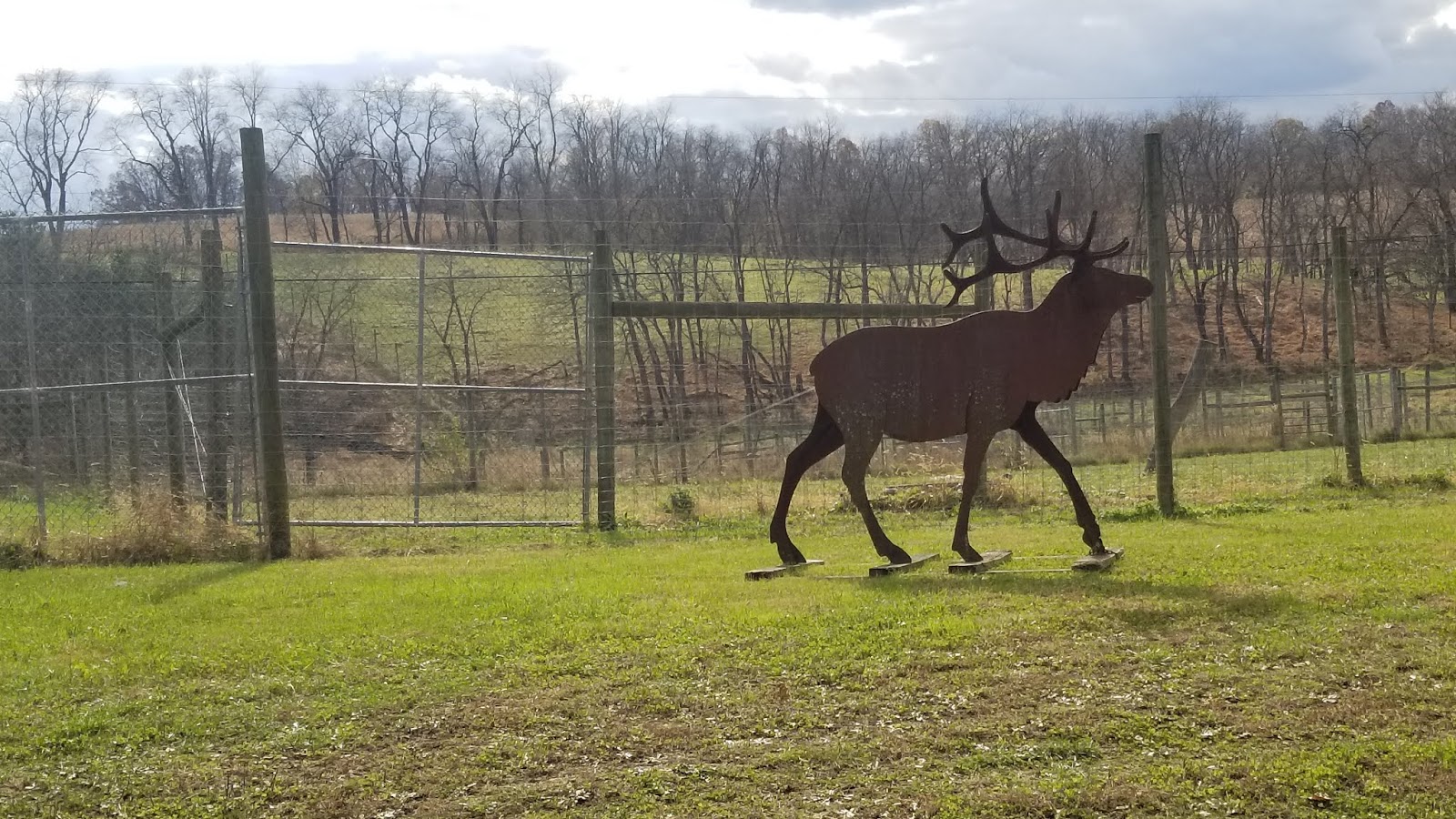 Valley Girl Views Sunday Drive Where To See The Elk, Near Milton PA