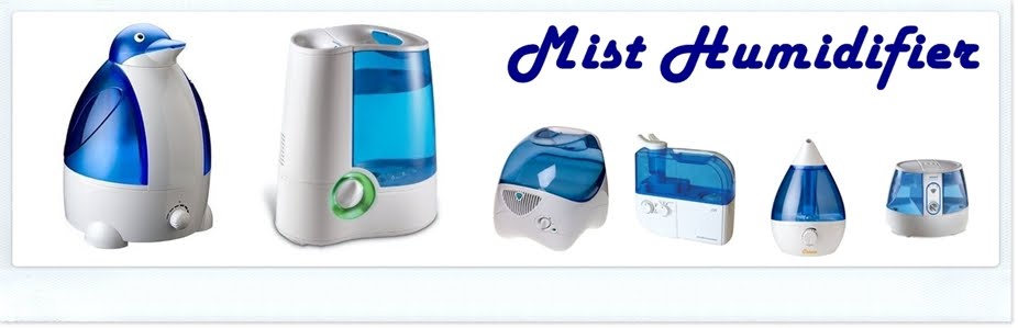 Mist humidifier .