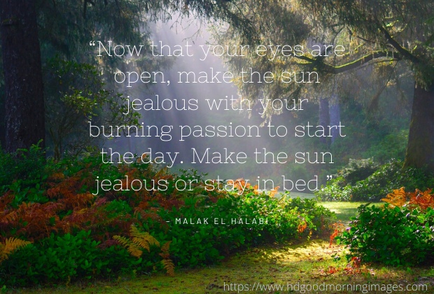good morning images with quotes for whatsapp good morning images with quotes for whatsapp
