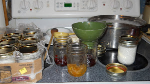 Step #4 Filling the jars.