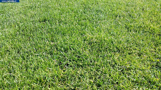 SPORTS AREAS / Estádio Municipal, Campo Relvado, Castelo de Vide, Portugal