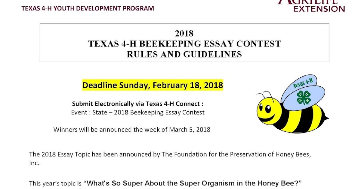 Beekeeping essay contest 07 image