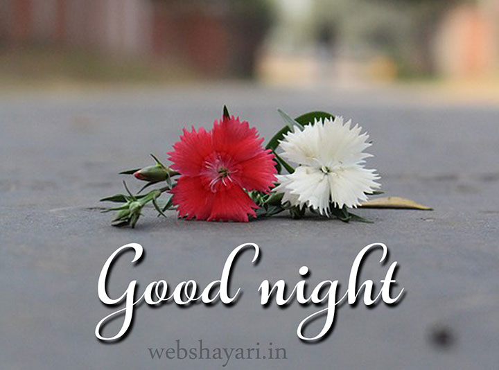 Good Night Image HD Download  Digital India Help in Hindi