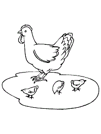 Chicken Coloring Page ~ Coloring Pages