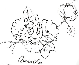 desenho de rosas 