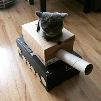 Fotos de gatos divertidas