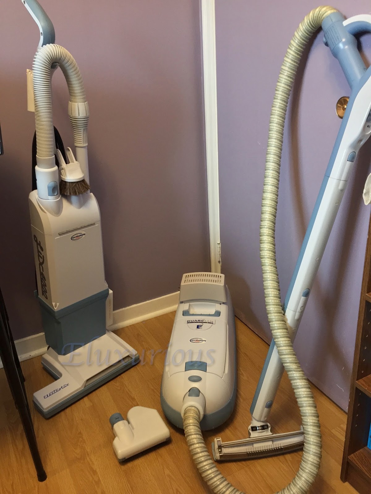 Eluxurious Stepping Up on Stage for an Encore