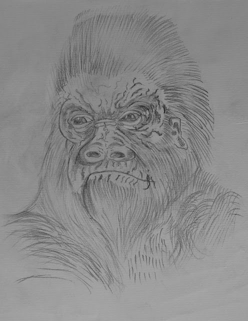monkey-big-gorilla