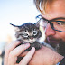 Cats harm the likeability of both heterosexual men and women