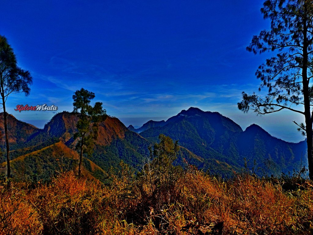 Gunung Wilis, Rekomendasi Gunung Untuk Pemula - Xplore Wisata